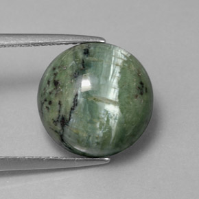 Serpentine vert naturelle coupe roude, 5,84 ct, opaque