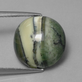 Serpentine vert naturelle coupe roude, 7,52 ct, opaque