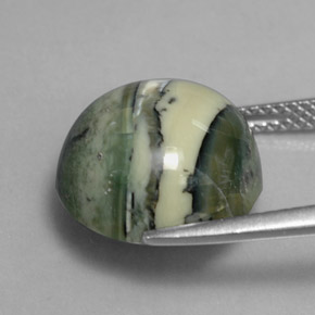 Serpentine vert naturelle coupe roude, 7,52 ct, opaque