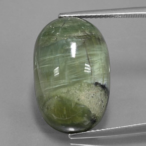 Serpentine vert naturelle coupe ovale, 14,20 ct, opaque