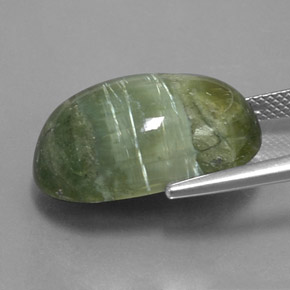 Serpentine vert naturelle coupe ovale, 14,20 ct, opaque