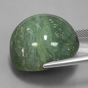 Serpentine vert naturelle coupe roude, 41,28 ct, opaque