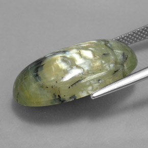 Serpentine vert naturelle coupe ovale, 9,95 ct, opaque
