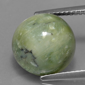 Serpentine vert naturelle coupe roude, 5,17 ct, opaque