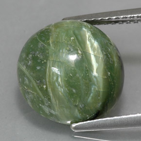 Serpentine vert naturelle coupe roude, 5,71 ct, opaque