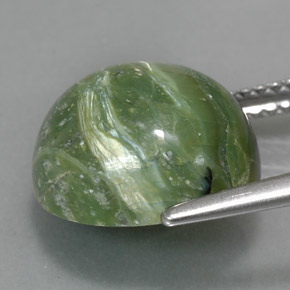 Serpentine vert naturelle coupe roude, 5,71 ct, opaque