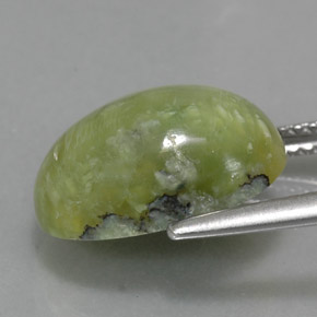 Serpentine vert naturelle coupe ovale, 5,32 ct, opaque