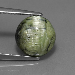 Serpentine vert naturelle coupe roude, 2,76 ct, opaque