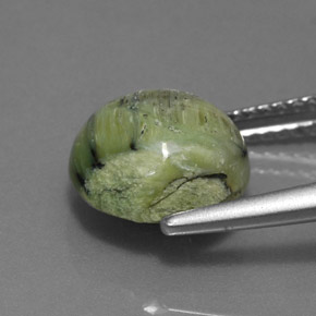 Serpentine vert naturelle coupe roude, 2,76 ct, opaque