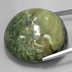 Serpentine vert naturelle coupe roude, 122,80 ct, opaque