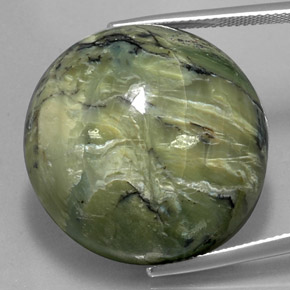 Serpentine vert naturelle coupe roude, 58,61 ct, opaque