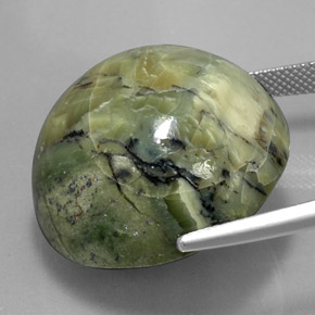 Serpentine vert naturelle coupe roude, 58,61 ct, opaque