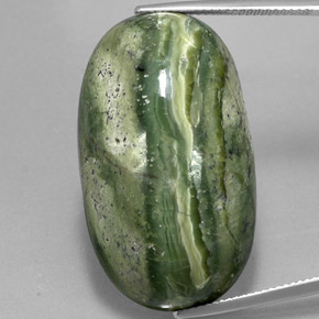 Serpentine vert naturelle coupe ovale, 49,97 ct, opaque