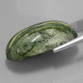 Serpentine vert naturelle coupe ovale, 49,97 ct, opaque