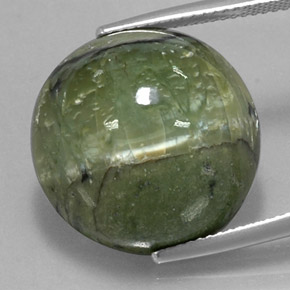 Serpentine vert naturelle coupe roude, 20,97 ct, opaque