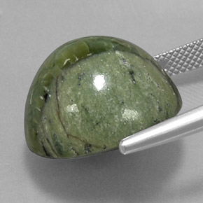 Serpentine vert naturelle coupe roude, 20,97 ct, opaque