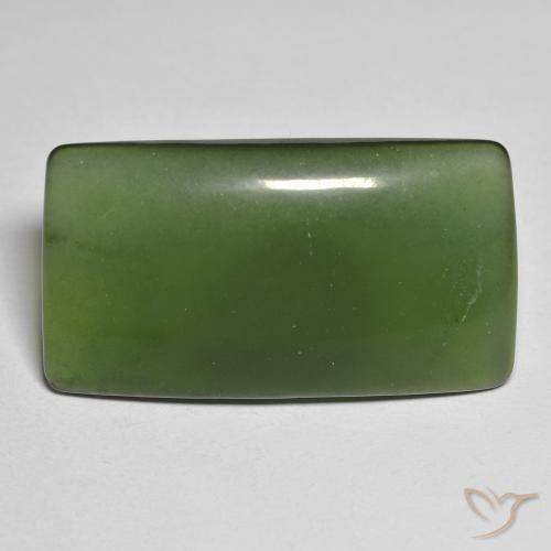 25.58ct Naturel Vert foncé Serpentine, Coussin, Translucide