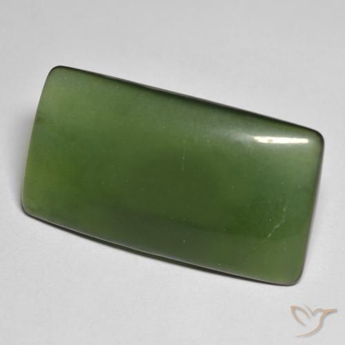 Serpentine Vert foncé naturelle Coussin, 25.58 ct, Translucide
