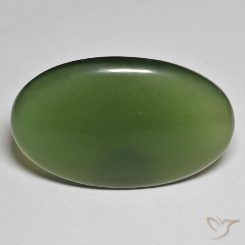 46.66ct Naturel Vert foncé Serpentine, ovale, Translucide