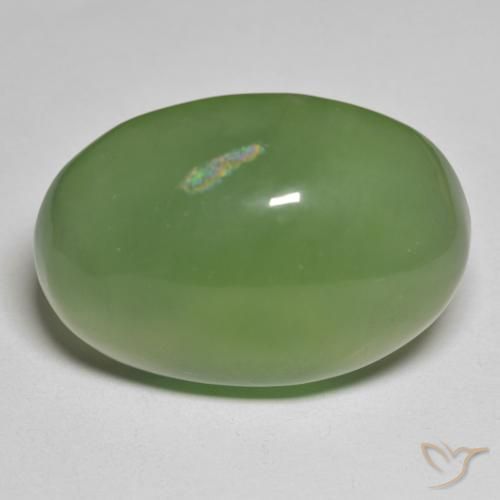 49.70ct Naturel Vert algues marines Serpentine, ovale, Translucide