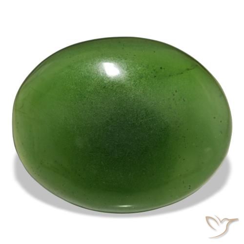 Serpentine vert naturelle coupe ovale, 19,15 ct, transparent