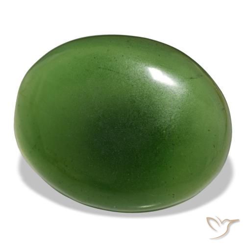 Serpentine vert naturelle coupe ovale, 19,15 ct, transparent