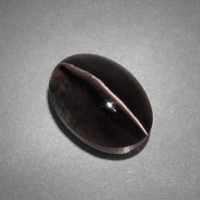 Sillimanite cat's eye gris naturelle transparent, 4,45 ct, transparent / translucide