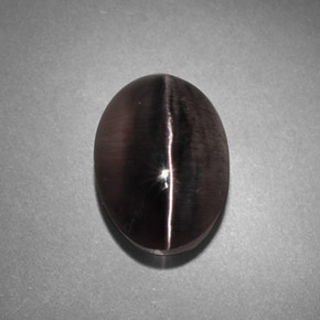 Sillimanite cat's eye gris naturelle transparent, 4,45 ct, transparent / translucide