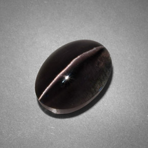 Sillimanite cat's eye gris naturelle transparent, 4,45 ct, transparent / translucide
