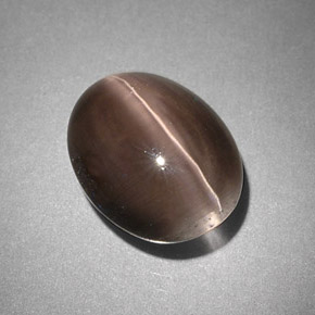 Sillimanite cat's eye gris naturelle transparent, 4,25 ct, transparent / translucide