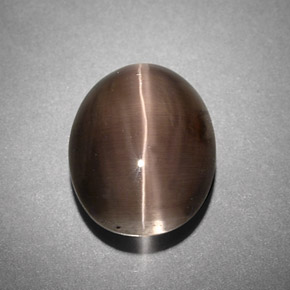 Sillimanite cat's eye gris naturelle transparent, 4,25 ct, transparent / translucide