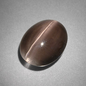 Sillimanite cat's eye gris naturelle transparent, 4,25 ct, transparent / translucide
