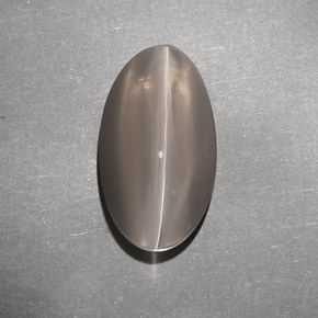 Sillimanite cat's eye marron naturelle transparent, 7,02 ct, transparent / translucide