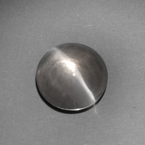 Sillimanite cat's eye gris naturelle transparent, 6,62 ct, transparent / translucide