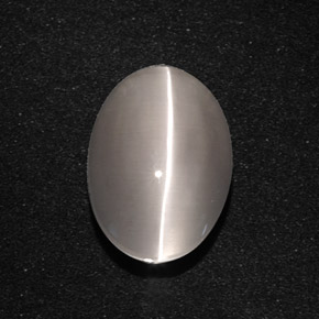 Sillimanite cat's eye gris naturelle coupe ovale, 5,66 ct, translucide