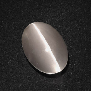 Sillimanite cat's eye gris naturelle coupe ovale, 5,66 ct, translucide