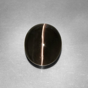 Sillimanite cat's eye gris naturelle transparent, 4,11 ct, transparent / translucide