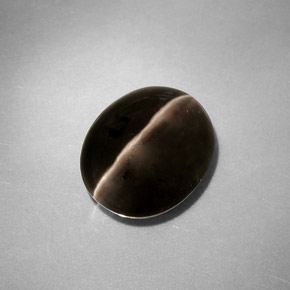 Sillimanite cat's eye gris naturelle transparent, 4,11 ct, transparent / translucide