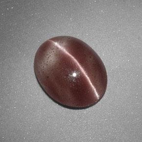 Sillimanite cat's eye marron naturelle coupe ovale, 1,60 ct, translucide