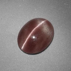 Sillimanite cat's eye marron naturelle coupe ovale, 1,60 ct, translucide