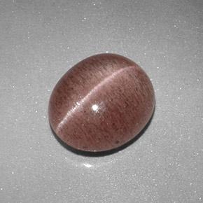Sillimanite cat's eye marron naturelle coupe ovale, 2,04 ct, translucide