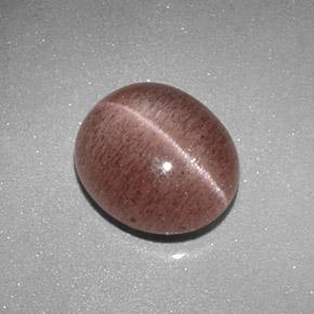 Sillimanite cat's eye marron naturelle coupe ovale, 2,04 ct, translucide