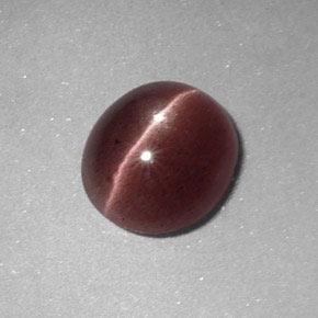 Sillimanite cat's eye marron naturelle coupe ovale, 1,64 ct, opaque