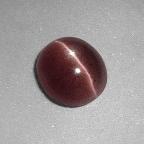 Sillimanite cat's eye marron naturelle coupe ovale, 1,64 ct, opaque