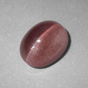 Sillimanite cat's eye rose naturelle coupe ovale, 2,89 ct, translucide