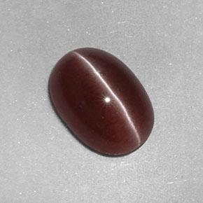 Sillimanite cat's eye marron naturelle coupe ovale, 2,05 ct, opaque