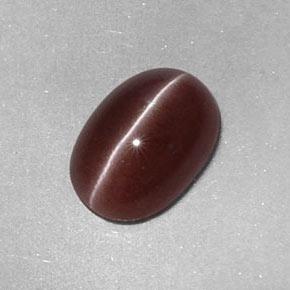 Sillimanite cat's eye marron naturelle coupe ovale, 2,05 ct, opaque