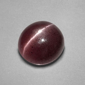 Sillimanite cat's eye marron naturelle transparent, 2,55 ct, transparent / translucide