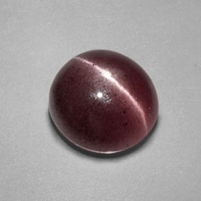 Sillimanite cat's eye marron naturelle transparent, 2,55 ct, transparent / translucide