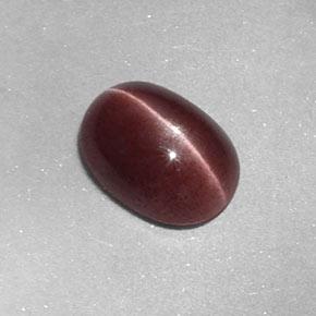 Sillimanite cat's eye marron naturelle coupe ovale, 1,58 ct, opaque